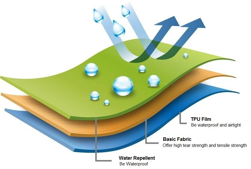 TPU Film Coated with 210d Nylon for Medical Purpose